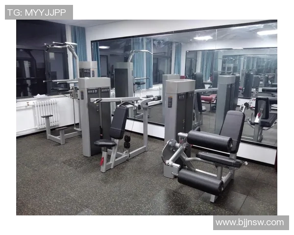 健身器材使用指南全面解析助你轻松打造完美身材与健康生活