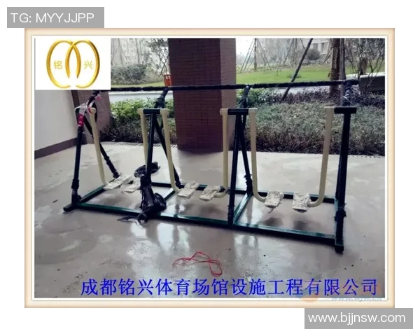 双杠体育器材规格详解及选购指南助您提升训练效果